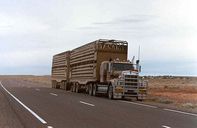 trucks-43.jpg